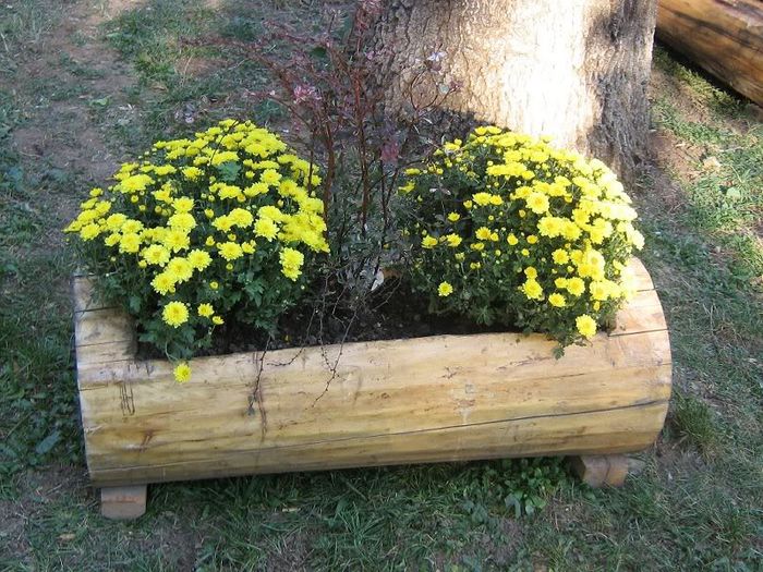 2088020350075666569WZRrJn_ph - idei interesante culese de pe net A