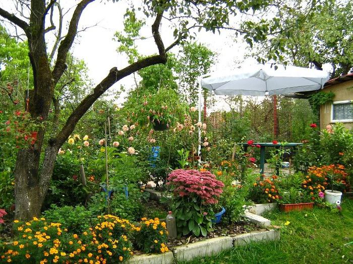 2732146280104390221zqAspx_ph - idei interesante culese de pe net A