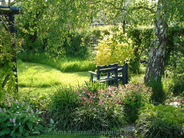 amenejare-gradini-curti - idei interesante culese de pe net A