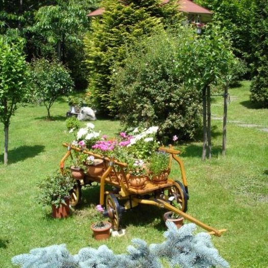 DSC00544 - idei interesante culese de pe net A