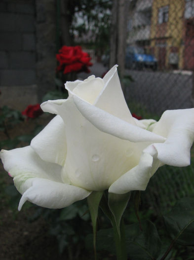 IMG_1511 - Polarstern 2014