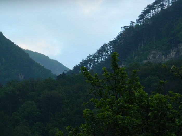 DSCN9916 - HERCULANE_MAI_4_2014