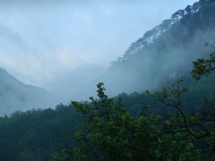 DSCN9925 - HERCULANE_MAI_4_2014