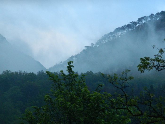 DSCN9926 - HERCULANE_MAI_4_2014