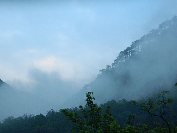 DSCN9928 - HERCULANE_MAI_4_2014