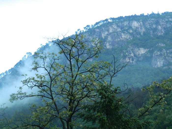 DSCN9930 - HERCULANE_MAI_4_2014