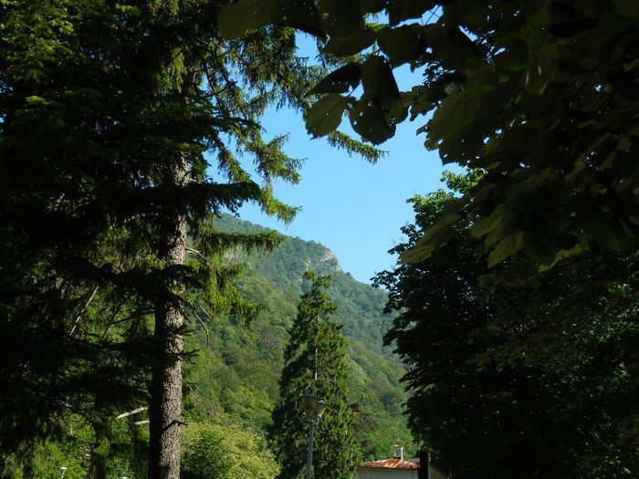 DSCN9937 - HERCULANE_MAI_4_2014