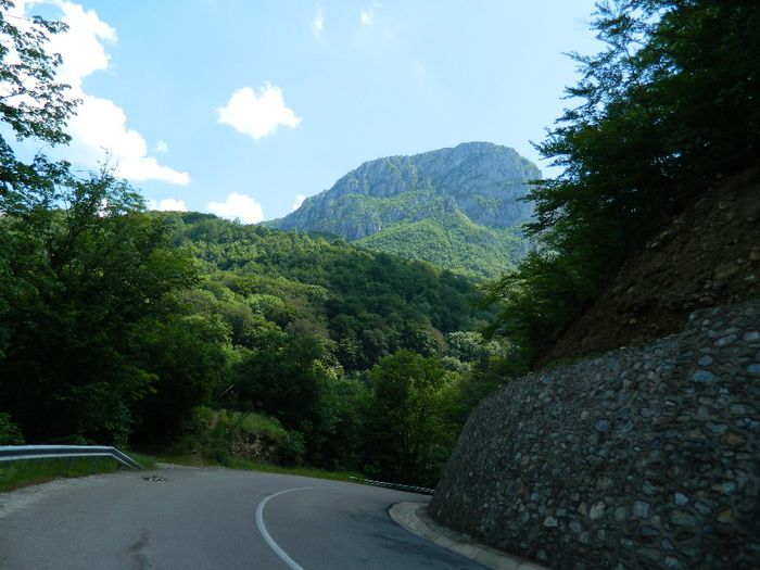 DSCN9954 - HERCULANE_MAI_4_2014