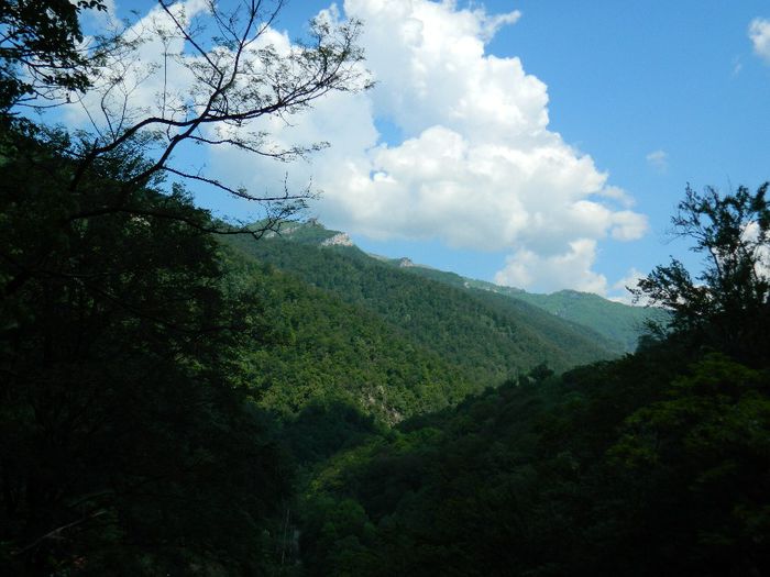 DSCN9956 - HERCULANE_MAI_4_2014