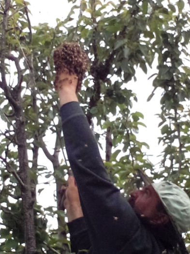 IMG_20140604_114012 - Z STUPII NOSTRI