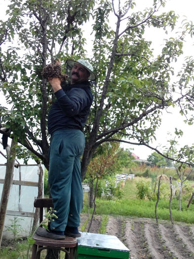 IMG_20140604_114018 - Z STUPII NOSTRI