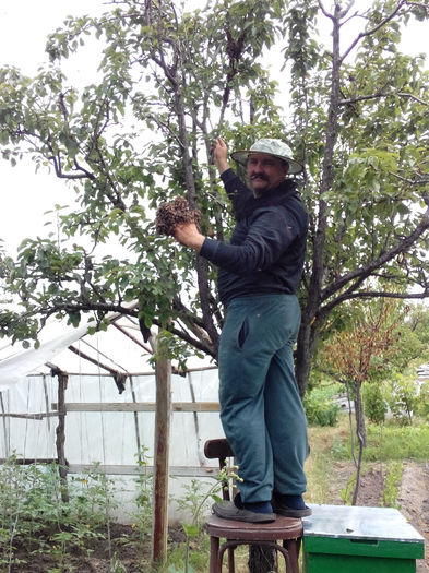 IMG_20140604_114024 - Z STUPII NOSTRI