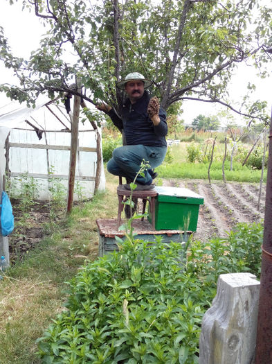 IMG_20140604_114124 - Z STUPII NOSTRI