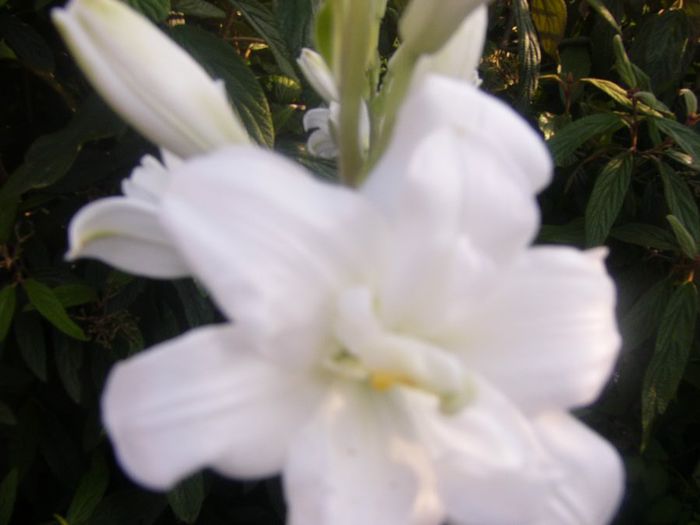 P1220334