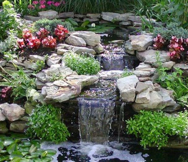 iaz - idei interesante culese de pe net A