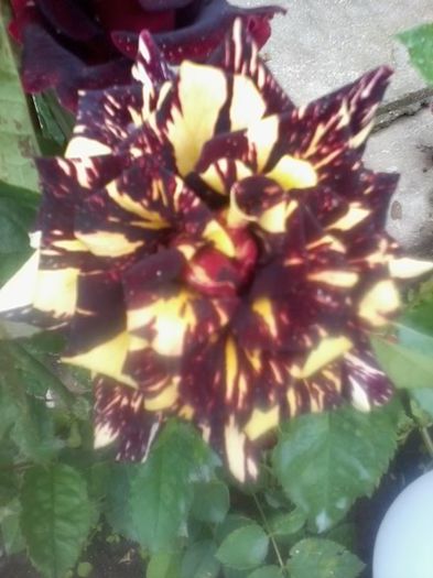 20140605_112009