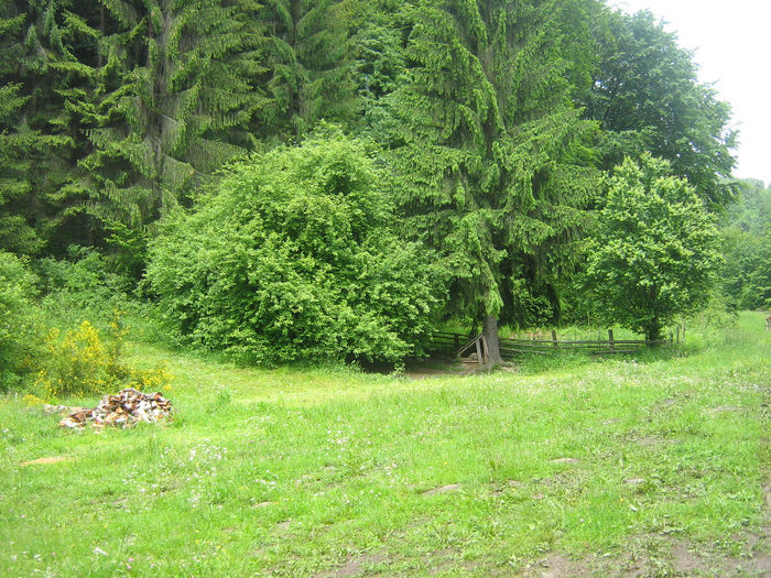 in natura 2014 - Natura cu frumusetile ei