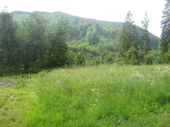 natura cu frumusetile ei 001