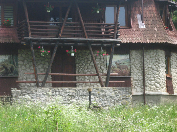 natura cu frumusetile ei 057 - la cabana