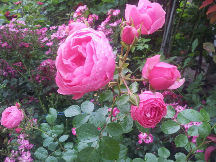 20140605_093044