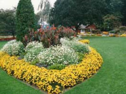 010-gradina-cu-flori-in-gazon_6 - idei interesante culese de pe net A