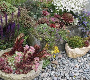 124_container_collection_resize - idei interesante culese de pe net A