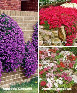 81725 - idei interesante culese de pe net A