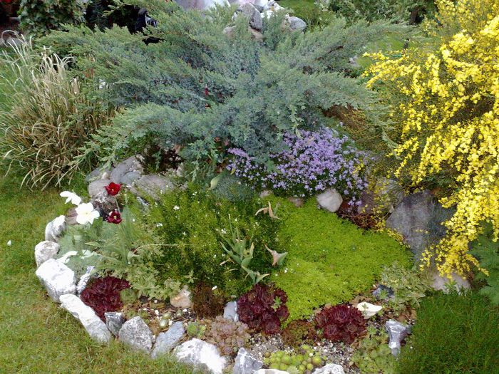 02052009485 - idei interesante culese de pe net A