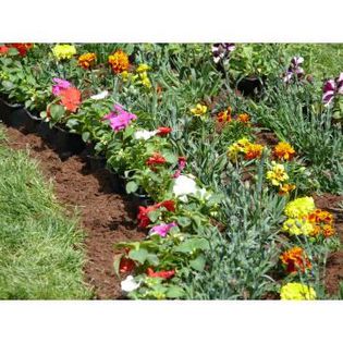 Amenajari-Gradini-si-Spatii-verzi_ - idei interesante culese de pe net A