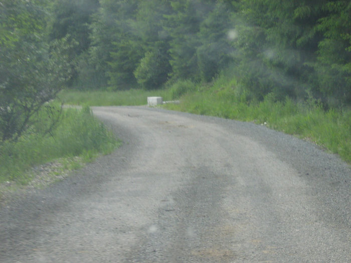 drumul de intoarcere 011