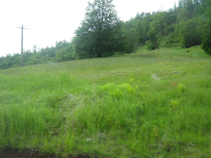 drumul de intoarcere 012