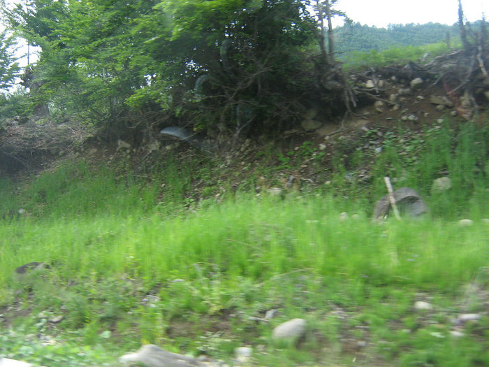 drumul de intoarcere 015