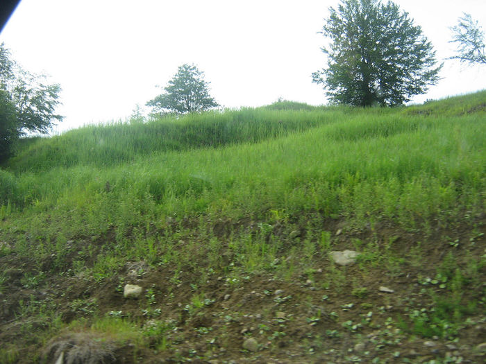 drumul de intoarcere 017