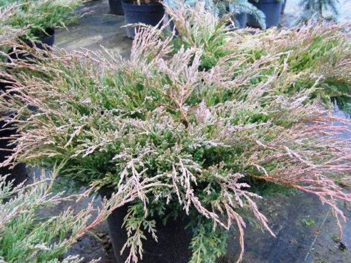 file_281 - idei interesante culese de pe net A