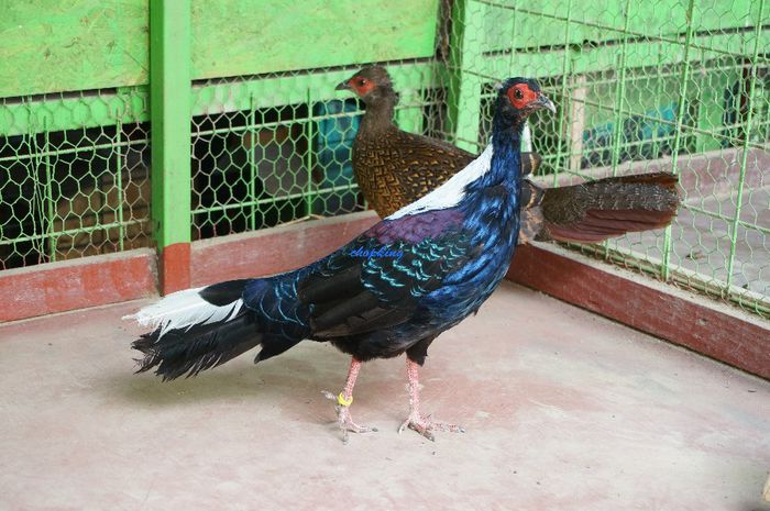 DSC06308