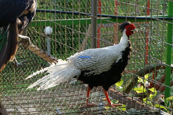 DSC05901