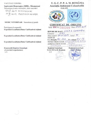 Certificat - Achizitie 2014