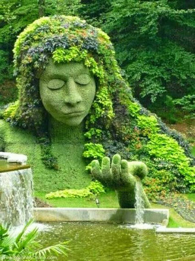  - ARTA VERDE