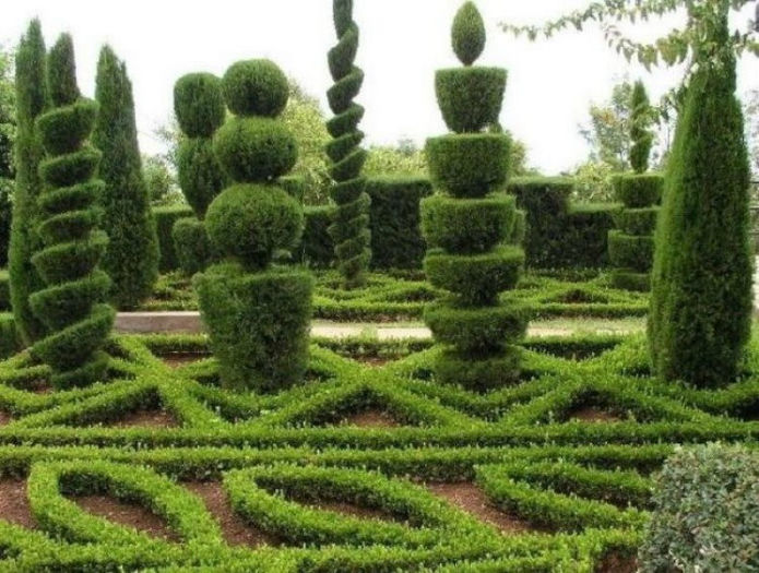  - ARTA VERDE
