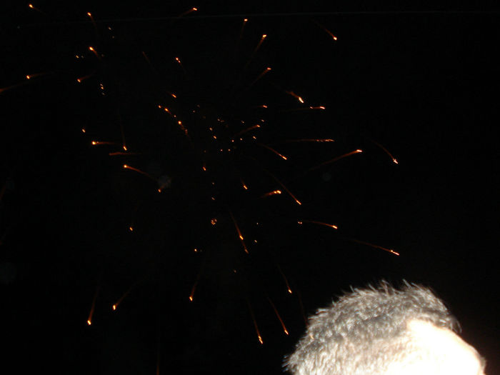 DSC07243 - QWRCRP1 2014