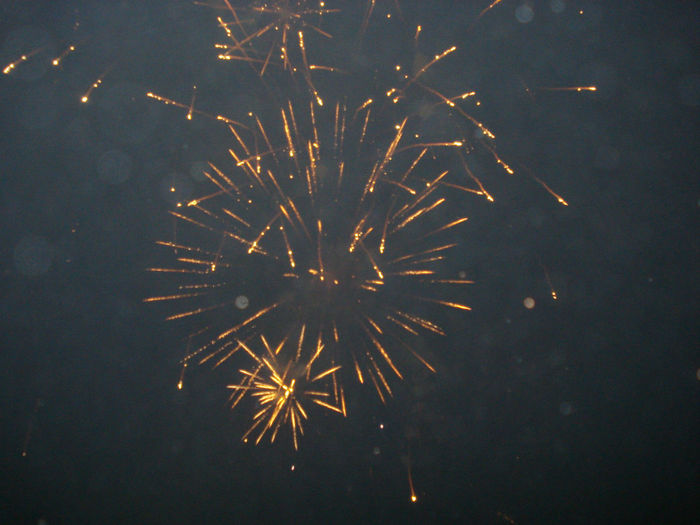 DSC07250 - QWRCRP1 2014