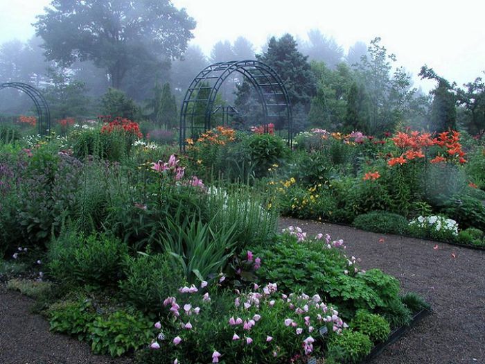 bn-gradina-flori-1 - idei interesante culese de pe net A