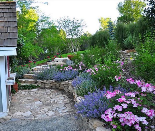 designscapes-gradina-4 - idei interesante culese de pe net A