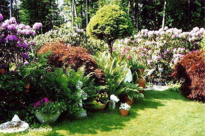 g000053 - idei interesante culese de pe net A