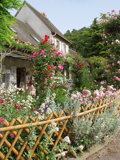 g%u0103rdule%u021B-lemn - idei interesante culese de pe net A