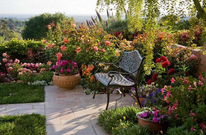 grace-flori-gradina - idei interesante culese de pe net A