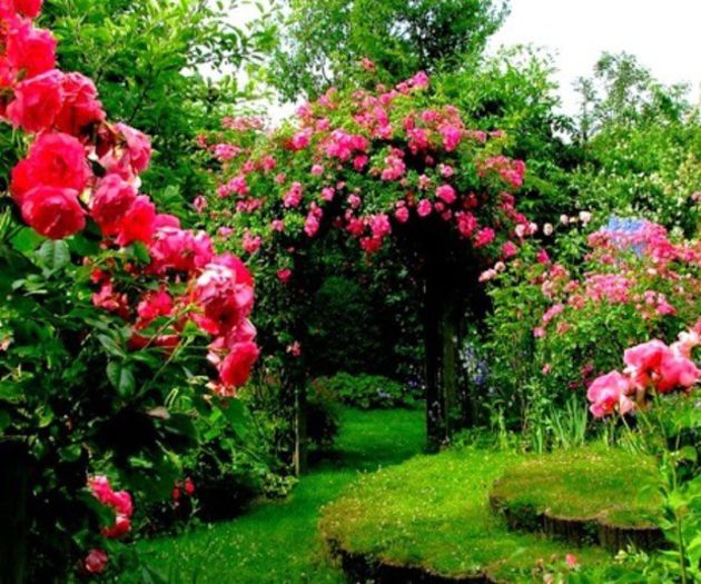 gradinacuflori9_36aabe2367cb16 - idei interesante culese de pe net A