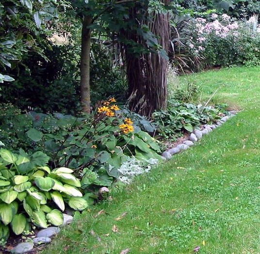 hosta-garden-cordyline - idei interesante culese de pe net A