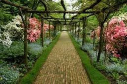 imagesRELW6EWI - idei interesante culese de pe net A