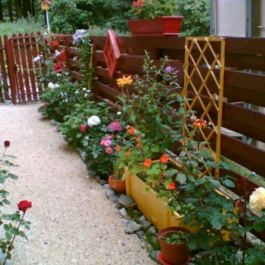 Imagine(1298) - idei interesante culese de pe net A